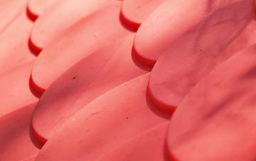 Heddle plastic roof costs